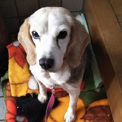 naa__0129's profile picture. 