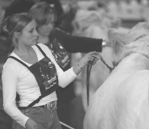 Proud Interlaker, ball player, ag communicator, farm writer, pie maker & Cdn beef supporter.