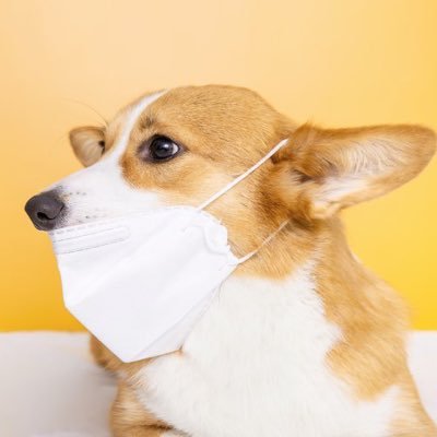 안녕하세요 매일마다 핫한 뉴스를 제공해드리고있습니다!(유머)(연예속보)팔로우많이 부탁드립니다 #뉴스 #코로나 #정치 #미디어 #핫플 #신문 #소식 #정보통 #정보 #정부 #연예 #유머
