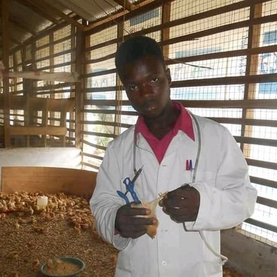 SAAKANICHOLAS2's profile picture. calm, friendly and work bee