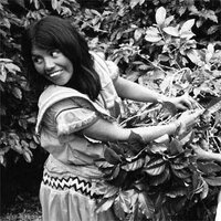 Peoples Organic (@peoplesedina) 's Twitter Profile