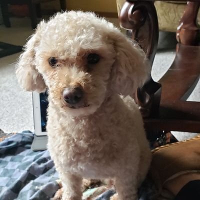 Ngoc37465420's profile picture. 