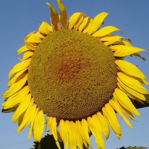 Humour_show's profile picture. Автор,пишу юмор:сценки,миниатюры,шутки.Предлагаю сотрудничество:шоумены,артисты,ведущие,конферансье, телеведушие.Шоу,телешоу,телевидение,концерты,представления