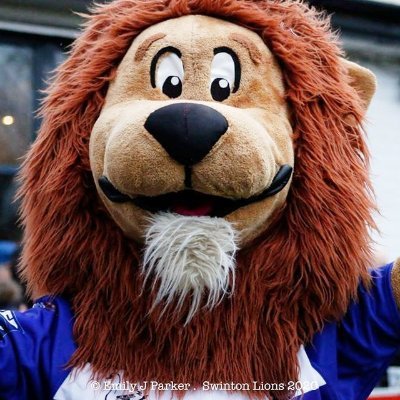 Official Mascot for Swinton Lions RLFC. #danathelion Photos courtesy of Peter Green & Emily Parker plus the occasional fan! https://t.co/B6FkkGobVg🦁