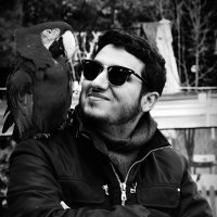 Mohammed Sultan (@drmaasultan) 's Twitter Profile