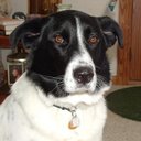 Robert Best - @kornee - Twitter