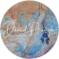 David Pringle(@dpringlephoto) 's Twitter Profile Photo