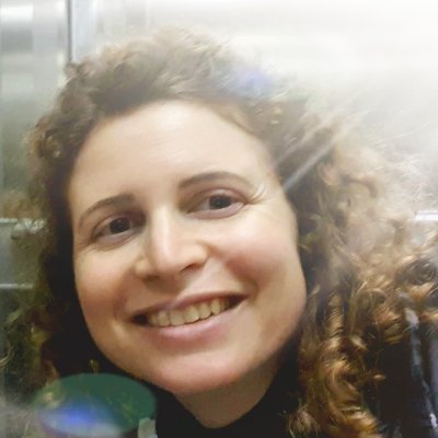 YaelTsarfati's profile picture. 