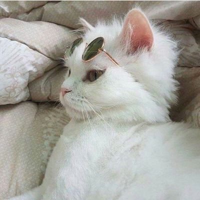 LouiseVerhagen's profile picture. 