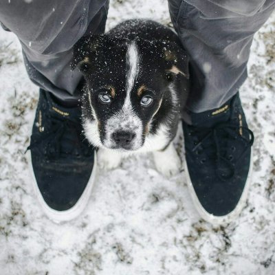 jpan2020's profile picture. 