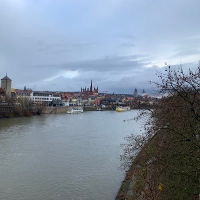 wavesnation's profile picture. 