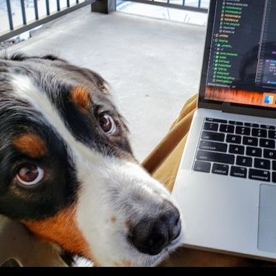 vince_1589's profile picture. Computational Biologist