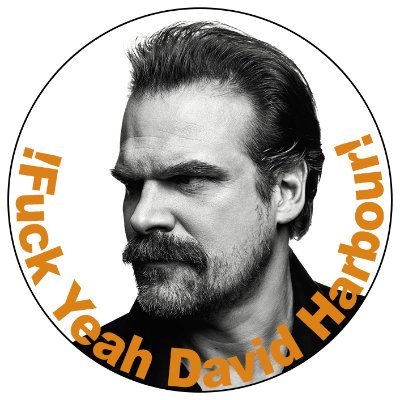 An Italian 🇮🇹 fanpage of the handsome David Harbour.