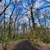 Friends of Allestree Park (@foallestreepark) Twitter profile photo Friends of Allestree Park (@foallestreepark) Twitter profile photo