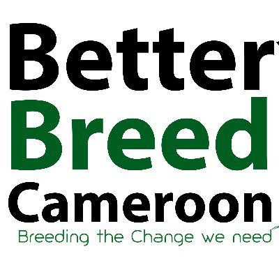 Better Breed Cameroon