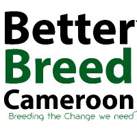 Better Breed Cameroon(@BetterBreedCMR) 's Twitter Profile Photo