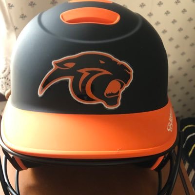 Panther Pride, Orange and Black