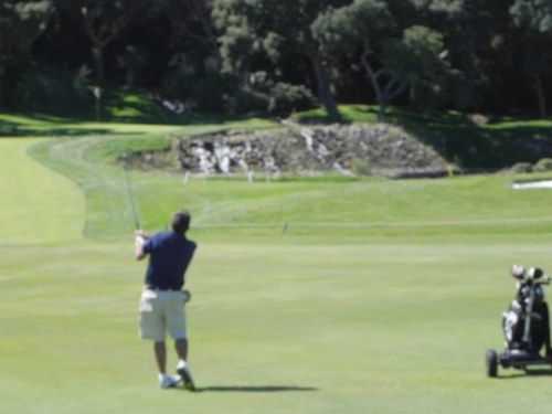 DavidP1970's profile picture. 