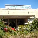Gujarat Institute of Desert Ecology (@gujaratdesert) 's Twitter Profile
