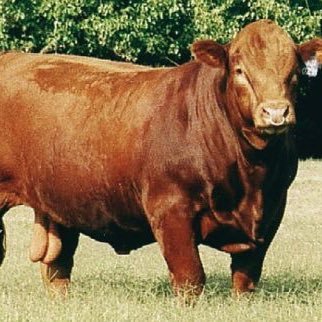 bushpresser's profile picture. Ron Chi Del Jethro Desperado the artist formerly known as (redeemed Del Ninyo) Blah blah blah blah blah blah EFFIN BLAH