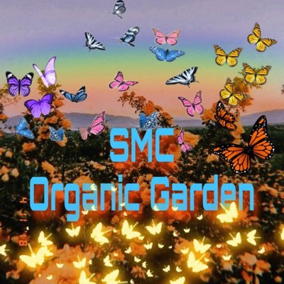 Instagram: https://t.co/4oYKSB7CBi Facebook: SMC Garden Email: smc.clubgrow@gmail.com