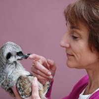Jane Hurst (@b6mup) 's Twitter Profile