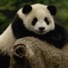 ArthurSLX8's profile picture. Smart is the new sexy.