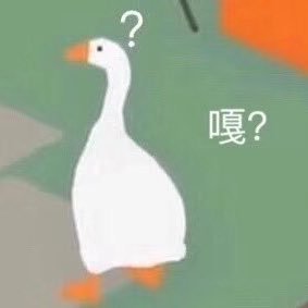 u0CEtW0xY9zULcT's profile picture. freedom forever；feminist; writter