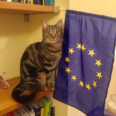 Remainer. GTTO. Love cats. Sociologist. Woke. Gardening. Cycling. Still hate Thatcher.  Cumbrian.  COYS. Refugees  Welcome 
🏳🏴󠁧󠁢󠁥󠁮󠁧󠁿🏴󠁧󠁢󠁳󠁣󠁴󠁿🌻🇪🇺