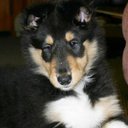 Anthony Moscato - @Tmoscato13 - Twitter