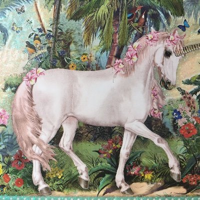 EvaLicorne's profile picture. liebt Tiere (nicht-menschliche Tiere & Menschentiere) und will wissen, wie sie fühlen und denken Anti-Anthropozentrismus