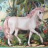 EvaLicorne's profile picture. liebt Tiere (nicht-menschliche Tiere & Menschentiere) und will wissen, wie sie fühlen und denken Anti-Anthropozentrismus