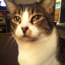 Robert Lusk - @robertlLusk - Twitter