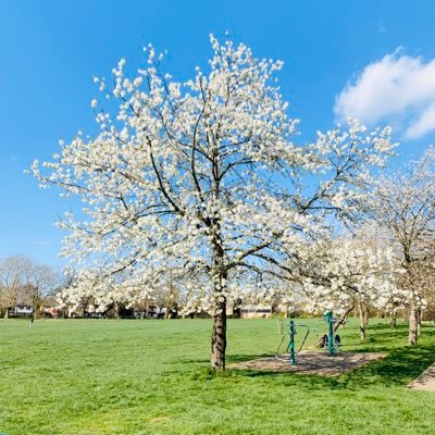 iadnan9's profile picture. 