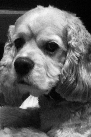 Khantrel's profile picture. 