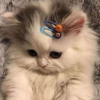 просто Даша просто как делаさんのプロフィール画像