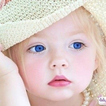 ‏‏إم وزوجه❤ شمال سينا...💞
مصر وطن ملناش غيرة ❤
يارب أحفظ مصر ❤
