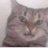 stonedxbaby's profile image