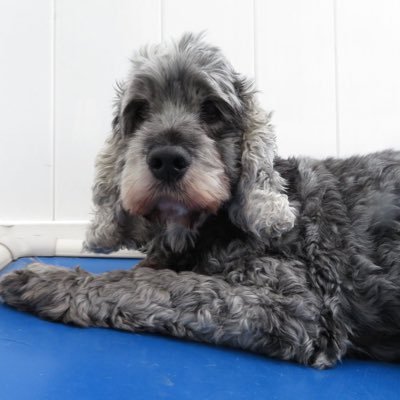 Cynthia59698053's profile picture. 