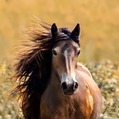 Loves Exmoor, great wines, good food, real beer & fun people. (Ex Wine Merchant & Ex Craft/Micro Brewer before returning to live on Exmoor) Loves Photography.