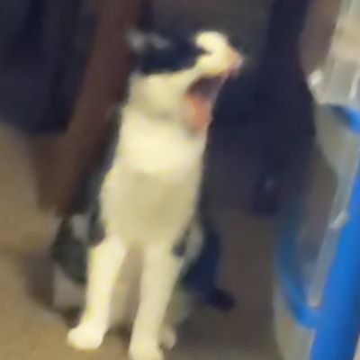 jtthegoalie's profile picture. ummm, uhhhh, uuuuuuuuuuuuh