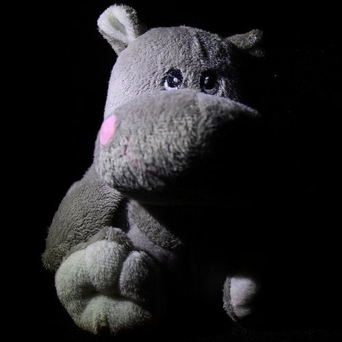 marc_ky's profile picture. Cynic, fitness junkie, foodie, shutterbug.