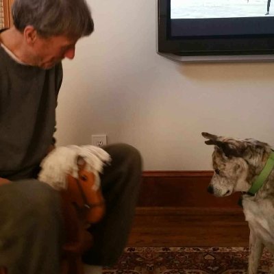 dautieng68's profile picture. Still writing.