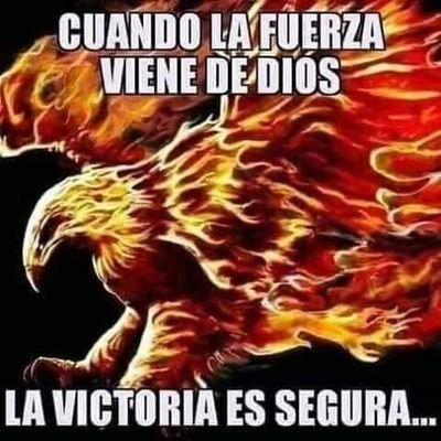 todo