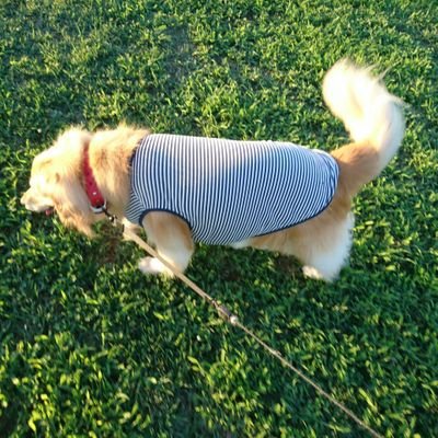 Springsky6's profile picture. 