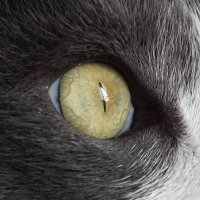 VivianaRomero Alarcon (@alarconvv) 's Twitter Profile Photo