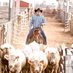 OklahomaNationalStockyards (@onsy_okc) Twitter profile photo OklahomaNationalStockyards (@onsy_okc) Twitter profile photo