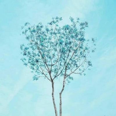 vicmar_rosa's profile picture. աɛʟċօʍɛ tօ ʍʏ քʀօʄile 

❤Army

🍀Sigueme en Instagram:@Fanbasebtspuertoplata
🍀
🍀twitter : @Btsplata. (fanbase de bts)
🍀