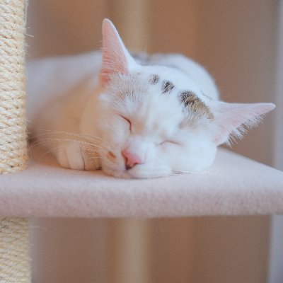 なおち (@ochon1112) / Posts / X