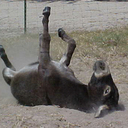 Andy Wang - @andyroninwang - Twitter